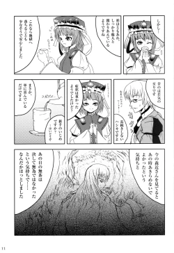 Page 10 of Touhou Goudoushi