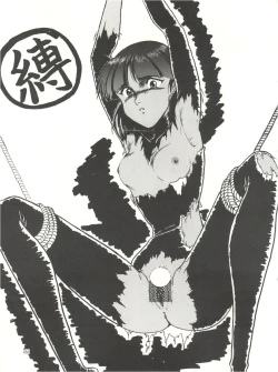 Page 61 of The Secret of Chimatsuriya