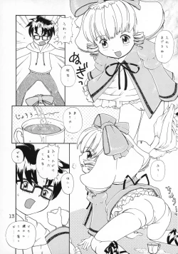 Page 14 of RURIMIX SP2