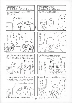 Page 31 of RURIMIX SP2