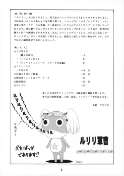 Page 5 of RURIMIX SP2