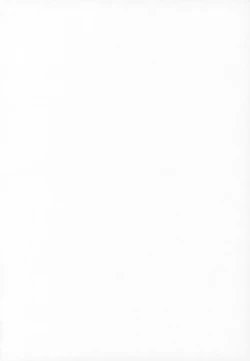 Page 3 of RURIMIX SP6