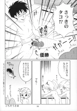 Page 31 of RURIMIX SP8