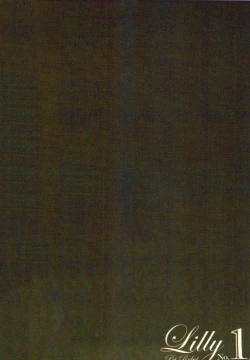 Page 4 of 性愛ROBOT 莉莉 Vol.1