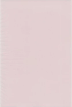 Page 4 of Sakura H Janai Mon!