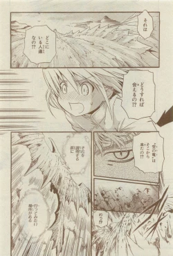 Page 508 of Chara 2015-04