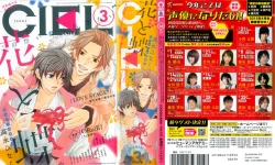 Page 1 of CIEL 2015-03