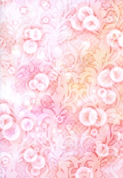 Page 22 of Shining Knight Red