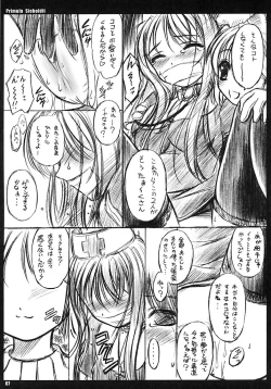 Page 6 of Primula Sieboldii