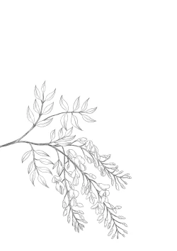 Page 20 of Hikari no Kimi no Saganaki Keikaku <Fujitsubo> | Lord Hikaru's Cunning Plan <Fujitsubo>