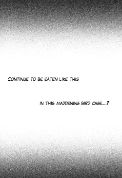 Page 25 of bird cage