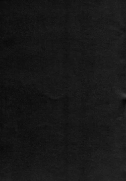 Page 19 of Remilia Ojou-sama no Bonnou