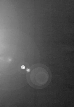 Page 21 of Remilia Ojou-sama no Bonnou