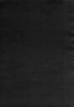 Page 54 of Remilia Ojou-sama no Bonnou