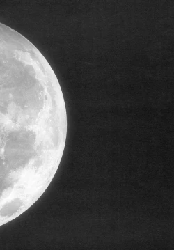 Page 9 of Remilia Ojou-sama no Bonnou