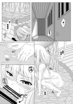 Page 5 of touhouhimekamiden