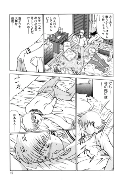 Page 17 of Hito ni Ienai Aidagara