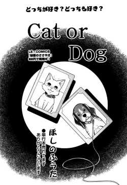 Page 56 of Little Pierce Vol.30