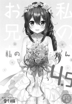 Page 3 of Watashi no, Onii-chan 4.5 Bangaihen