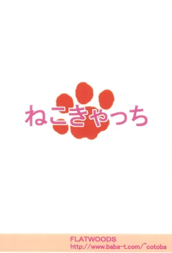 Page 40 of Neko Catch