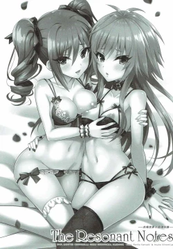 Page 2 of The Resonant Notes