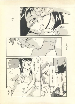 Page 22 of NEOER 2010