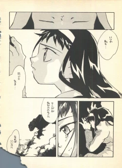 Page 27 of NEOER 2010