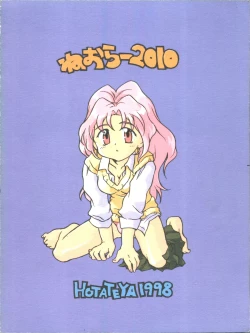 Page 34 of NEOER 2010