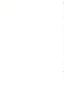 Page 45 of Hadashi no Vampire