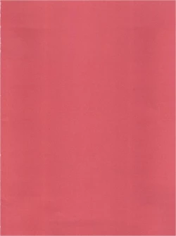 Page 4 of Hadashi no Vampire