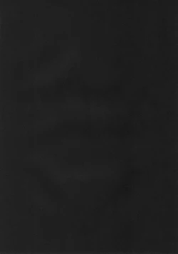 Page 2 of P to Usagi no Yoru no Nichijou