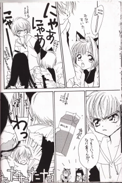 Page 7 of ミラクルシーフードケーキ