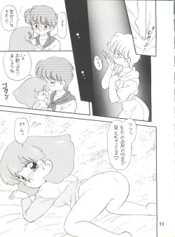 Page 13 of [Team PRINCESSM²