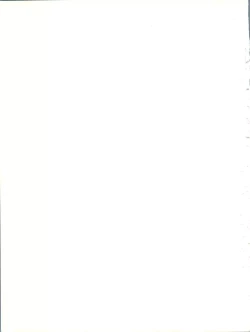 Page 19 of [Team PRINCESSM²