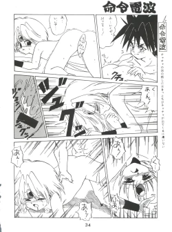 Page 34 of Meirei Denpa