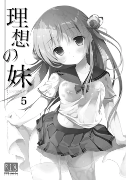 Page 3 of Risou no Imouto 5
