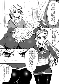 Page 3 of Link to Zelda no Shoshinsha ni Yasashii Sex Nyuumon