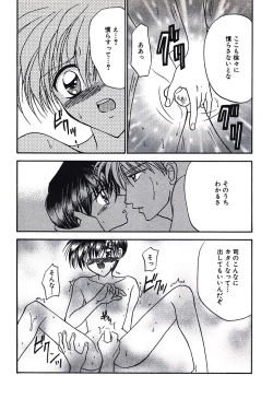 Page 15 of Bishounen Kinbaku Nisshi