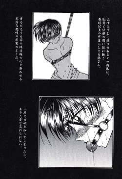 Page 9 of Bishounen Kinbaku Nisshi