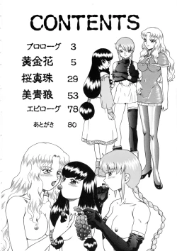 Page 3 of Princess Harem