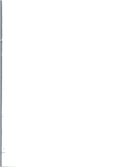 Page 3 of RED MUFFLER S