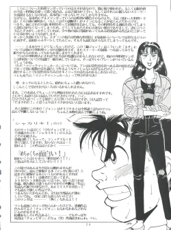 Page 24 of SAMPLE Vol. 8