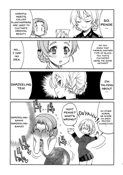 Page 20 of Darjeeling-sama no Ponytail