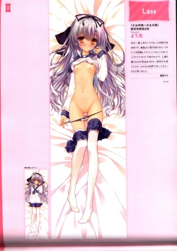 Page 102 of Dakimakura Cover Gashuu Bishoujo Game Hen