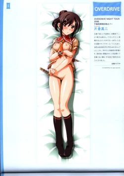 Page 34 of Dakimakura Cover Gashuu Bishoujo Game Hen