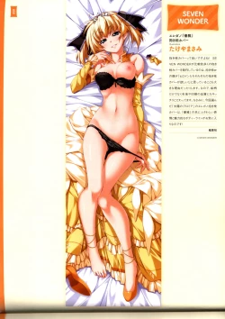 Page 54 of Dakimakura Cover Gashuu Bishoujo Game Hen