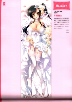 Page 80 of Dakimakura Cover Gashuu Bishoujo Game Hen