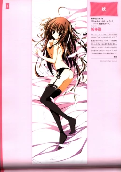 Page 84 of Dakimakura Cover Gashuu Bishoujo Game Hen