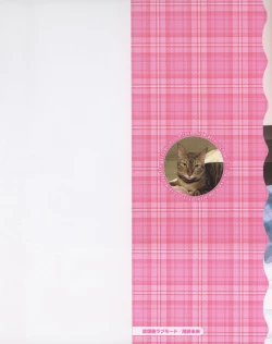 Page 229 of Houkago Love Mode - It is a love mode after school