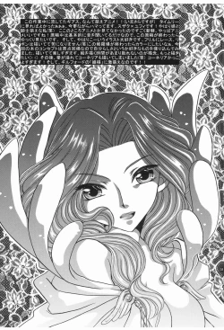 Page 31 of Primavera